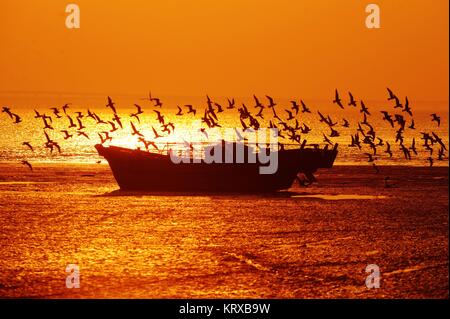 Qingdao, Qingdao, Cina. Xx Dec, 2017. Sunset scenario della baia di Jiaozhou a Qingdao, Cina orientale della provincia di Shandong. Credito: SIPA Asia/ZUMA filo/Alamy Live News Foto Stock