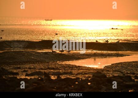 Qingdao, Qingdao, Cina. Xx Dec, 2017. Sunset scenario della baia di Jiaozhou a Qingdao, Cina orientale della provincia di Shandong. Credito: SIPA Asia/ZUMA filo/Alamy Live News Foto Stock