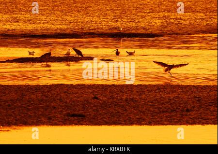 Qingdao, Qingdao, Cina. Xx Dec, 2017. Sunset scenario della baia di Jiaozhou a Qingdao, Cina orientale della provincia di Shandong. Credito: SIPA Asia/ZUMA filo/Alamy Live News Foto Stock