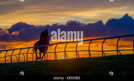 Middleham, North Yorkshire, Regno Unito. 9 Nov, 2017. Fantini e cavalli nella luce del mattino sul Middleham galoppa in North Yorkshire UK Credit: Charlotte Graham/ZUMA filo/Alamy Live News Foto Stock