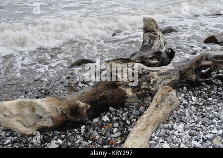 A riva dal mare con flotsam Foto Stock