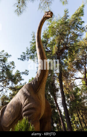 Diplodocus - preistoria dinosauro erbivori foresta a piedi Foto Stock