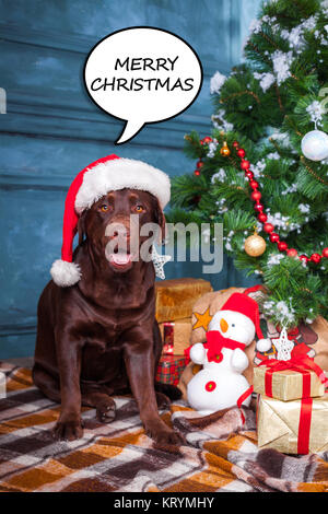 Il nero labrador retriever seduta con doni alle decorazioni di Natale sfondo Foto Stock