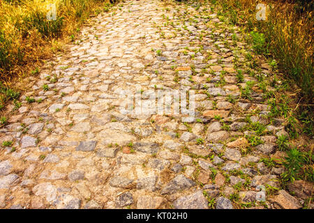 La strada di pietra, la vecchia strada in città Foto Stock