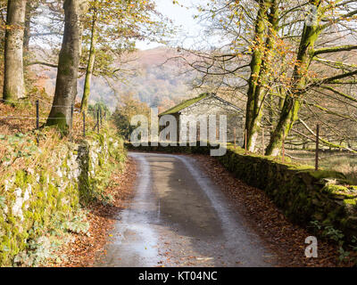 Una tradizionale casa fienile si siede accanto a un vicolo tranquillo foderato con alberi d'autunno vicino a Ambleside in Inghilterra del Parco Nazionale del Distretto dei Laghi. Foto Stock