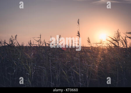 Un bel sole imposta al di sopra di un campo su la campagna polacca. Foto Stock