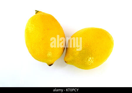 I limoni di foto Foto Stock