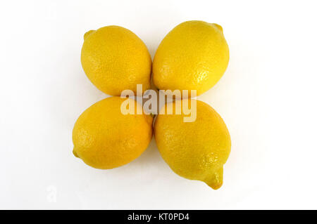 I limoni di foto Foto Stock