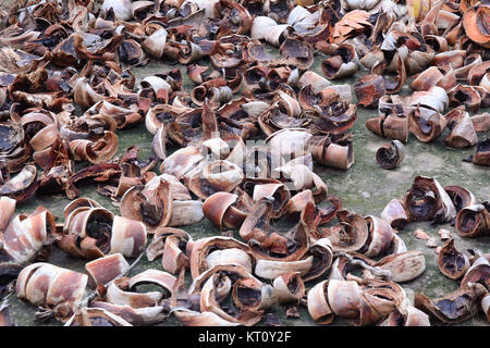 Secchi in legno di noce di cocco sul pavimento nel Delta del Mekong, Vietnam. Foto Stock