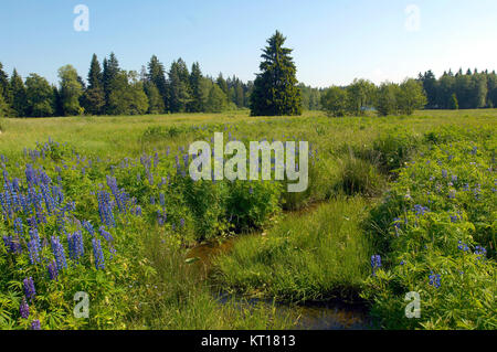 Tschechien, Westböhmen, Kladska: Naturschutzgebiet Kladska, Foto Stock