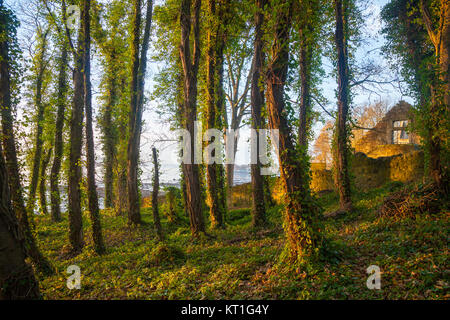 Santa Brigida's Kirk in Dalgety Bay Fife Scozia. Foto Stock