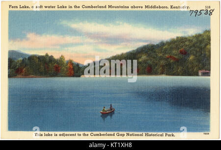 Il lago Fern si trova nelle Cumberland Mountains sopra Middleboro, Kentucky, vicino al Cumberland Gap National Historical Park. Conosciuta per le sue acque morbide, è un luogo naturale tranquillo circondato da paesaggi montuosi. Foto Stock