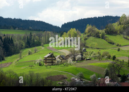 Idillica vista rurale di rotolamento delicatamente patchwork farmland Foto Stock