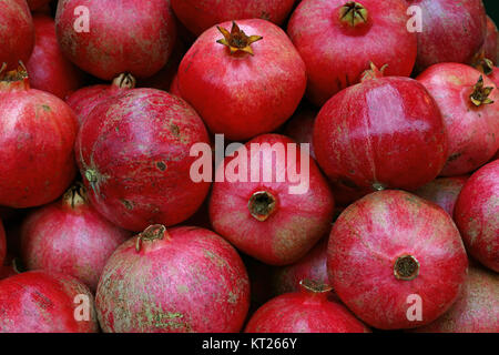 Rosso fresco melagrane mature close up Foto Stock