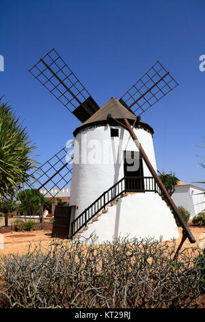 Vecchio mulino in giardini tropicali di Antigua village, Fuerteventura, Isole Canarie, Spagna Foto Stock