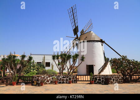 Vecchio mulino in giardini tropicali di Antigua village, Fuerteventura, Isole Canarie, Spagna Foto Stock