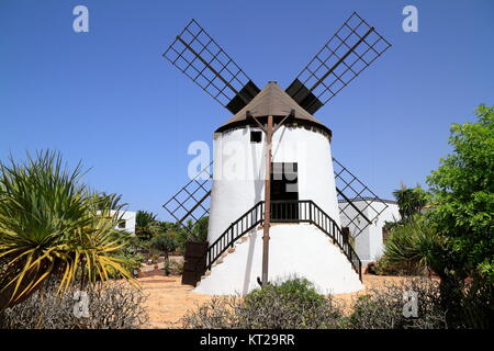 Vecchio mulino in giardini tropicali di Antigua village, Fuerteventura, Isole Canarie, Spagna Foto Stock