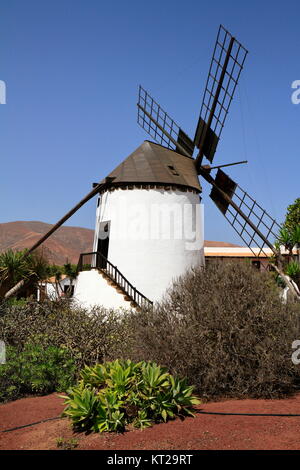 Vecchio mulino in giardini tropicali di Antigua village, Fuerteventura, Isole Canarie, Spagna Foto Stock