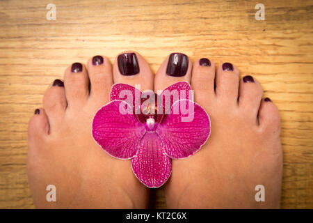 Primo piano di una femmina di piedi con pedicure sui chiodi e lavanda. a spa salone. Gambe concetto di cura Foto Stock