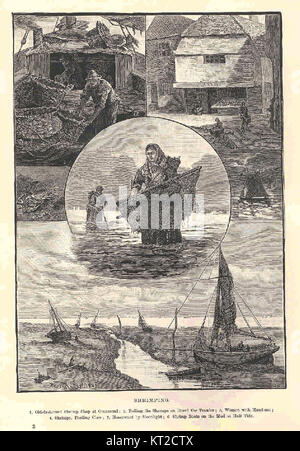 L'immagine raffigura il processo del gamberetto, mostrando la tecnica e gli strumenti utilizzati per la pesca dei gamberetti, un'attività importante nelle economie e nelle industrie costiere. Foto Stock