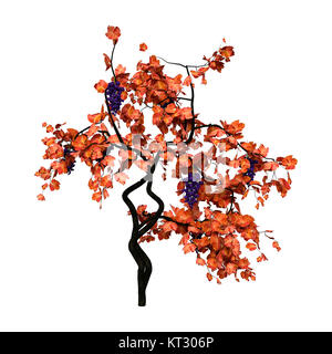 3D Rendering Grapevine su bianco Foto Stock