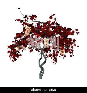 3D Rendering Grapevine su bianco Foto Stock