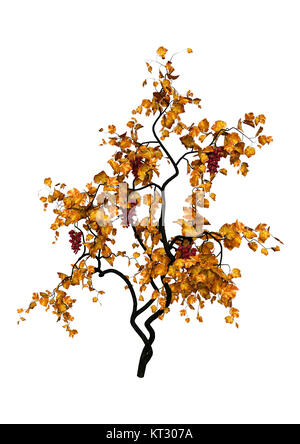 3D Rendering Grapevine su bianco Foto Stock