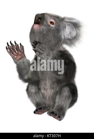 3D Rendering Koala Bear su bianco Foto Stock