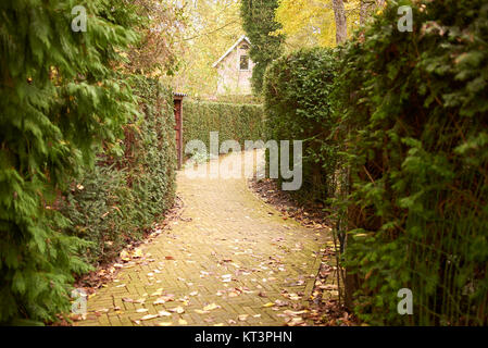 Amsterdam, Paesi Bassi - 16 Novembre 2013 : Vicolo verde Foto Stock