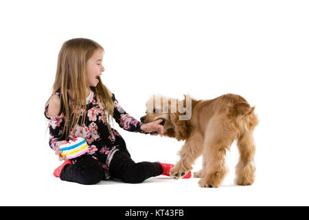 Felice giovane ragazza ridere come lei gioca con i suoi giovani golden cocker spaniel cucciolo come essi si siedono sul pavimento su bianco Foto Stock