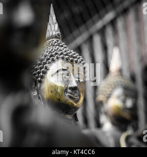 Fila di statue di Buddha a tempio Ganagarama, Colombo, Sri Lanka. In bianco e nero.il giallo colore selettivo. Foto Stock