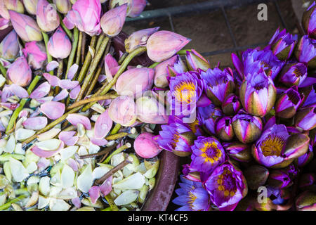 Fiori venduto per essere utilizzato come offerta di fronte al Tempio della Reliquia del Dente di Kandy (Sri Lanka). Foto Stock