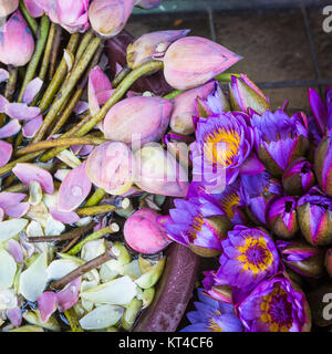 Fiori venduto per essere utilizzato come offerta di fronte al Tempio della Reliquia del Dente di Kandy (Sri Lanka). Foto Stock