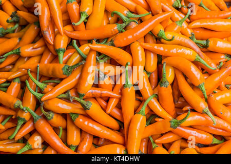 Orange peperoncino, primo piano Foto Stock
