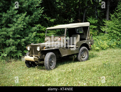 1952 Willys M38 VEICOLO MILITARE Foto Stock