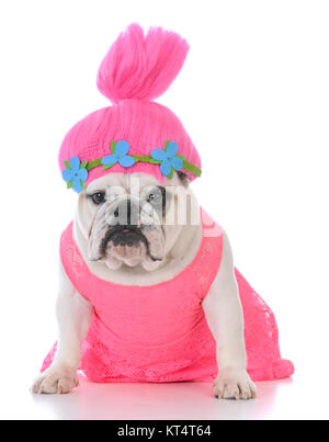 Bulldog vestito in una parrucca rosa e il vestito su sfondo bianco Foto Stock