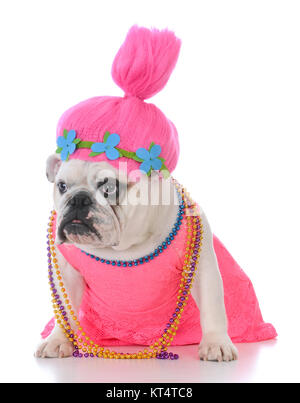 Bulldog vestito in una parrucca rosa e il vestito su sfondo bianco Foto Stock