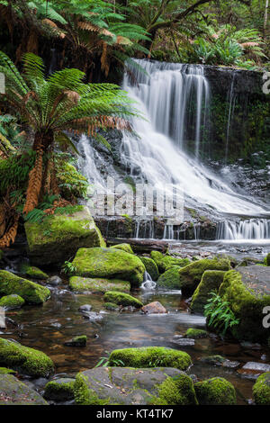 Cascate Russell, Monte campo parco nazionale, Tasmania, Australia Foto Stock