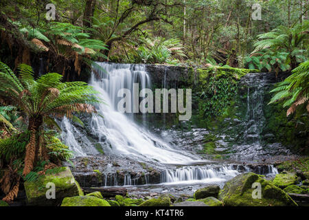 Cascate Russell, Monte campo parco nazionale, Tasmania, Australia Foto Stock