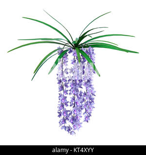 3D Rendering Wild Orchid fiori su bianco Foto Stock