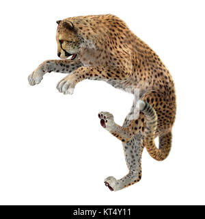 3D Rendering Big Cat Cheetah su bianco Foto Stock