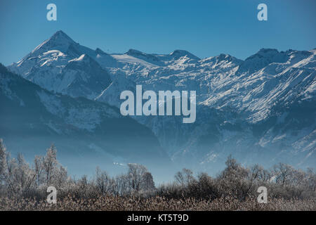 il kitzsteinhorn fotografato in inverno dalla riva meridionale del lago zell, in primo piano la zeller moor o muschio coperto di piante con brina. Foto Stock