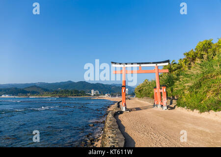 Aoshima isola con il giapponese torii Foto Stock