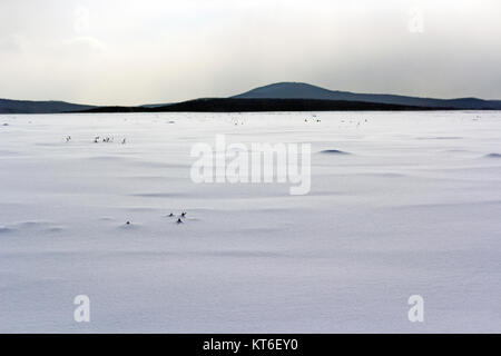 Neve fresca coperchio in dune a closeup, un paesaggio invernale Foto Stock