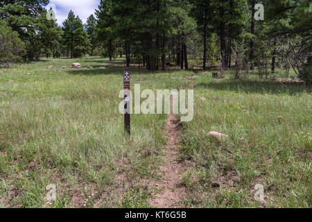 Arizona Trail- Anderson Mesa AZT-30 (36655447560) Foto Stock