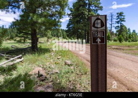 Arizona Trail- Anderson Mesa AZT-30 (36864087326) Foto Stock