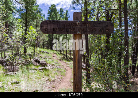 Arizona Trail- Anderson Mesa AZT-30 (36911015261) Foto Stock