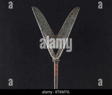 Arrowhead (YanonC493) SODDISFATTE LC-14 100 352-002 Foto Stock