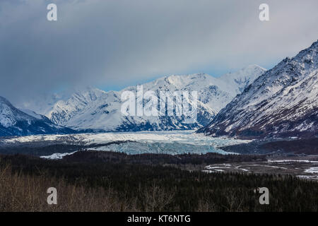 Capolinea del possente Matanuska Glacier, visto dal ghiacciaio Matanuska membro Recreation Area viewpoint a nord-est di Anchorage in Alaska,, STATI UNITI D'AMERICA Foto Stock