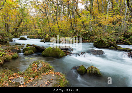 Oirase flusso che scorre attraverso la foresta di autunno Foto Stock